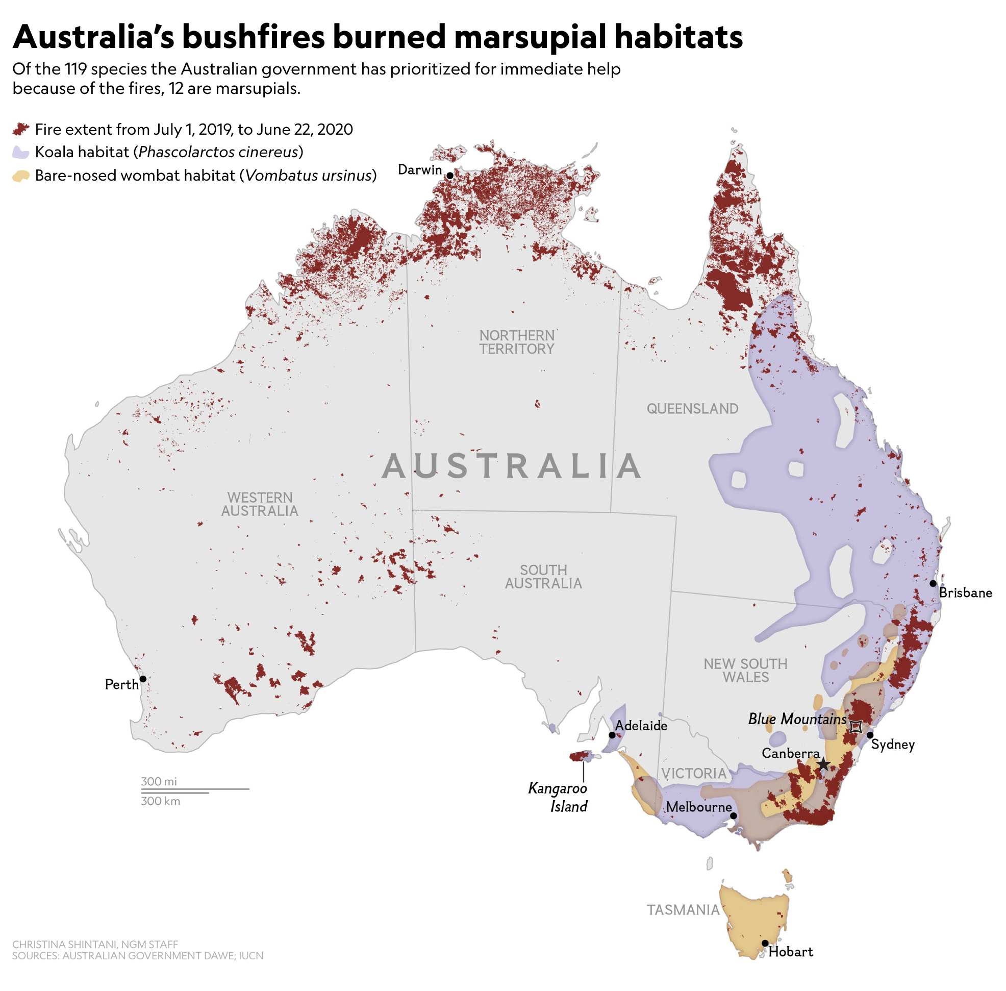 Constructions responsibility to native wildlife